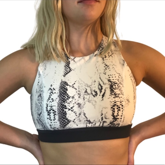 LAST 1 • Snake Print Sports Bra - Picture 2 of 5